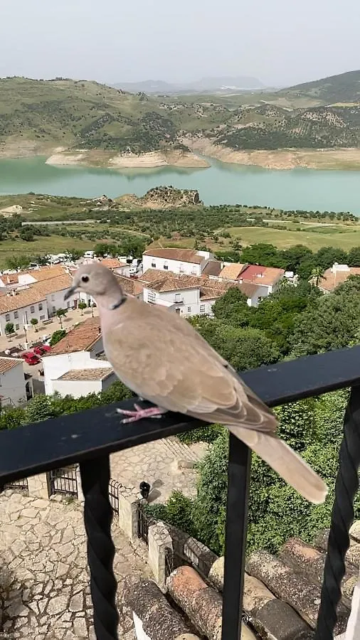 El Oasis Villa Algodonales 0*,  España
